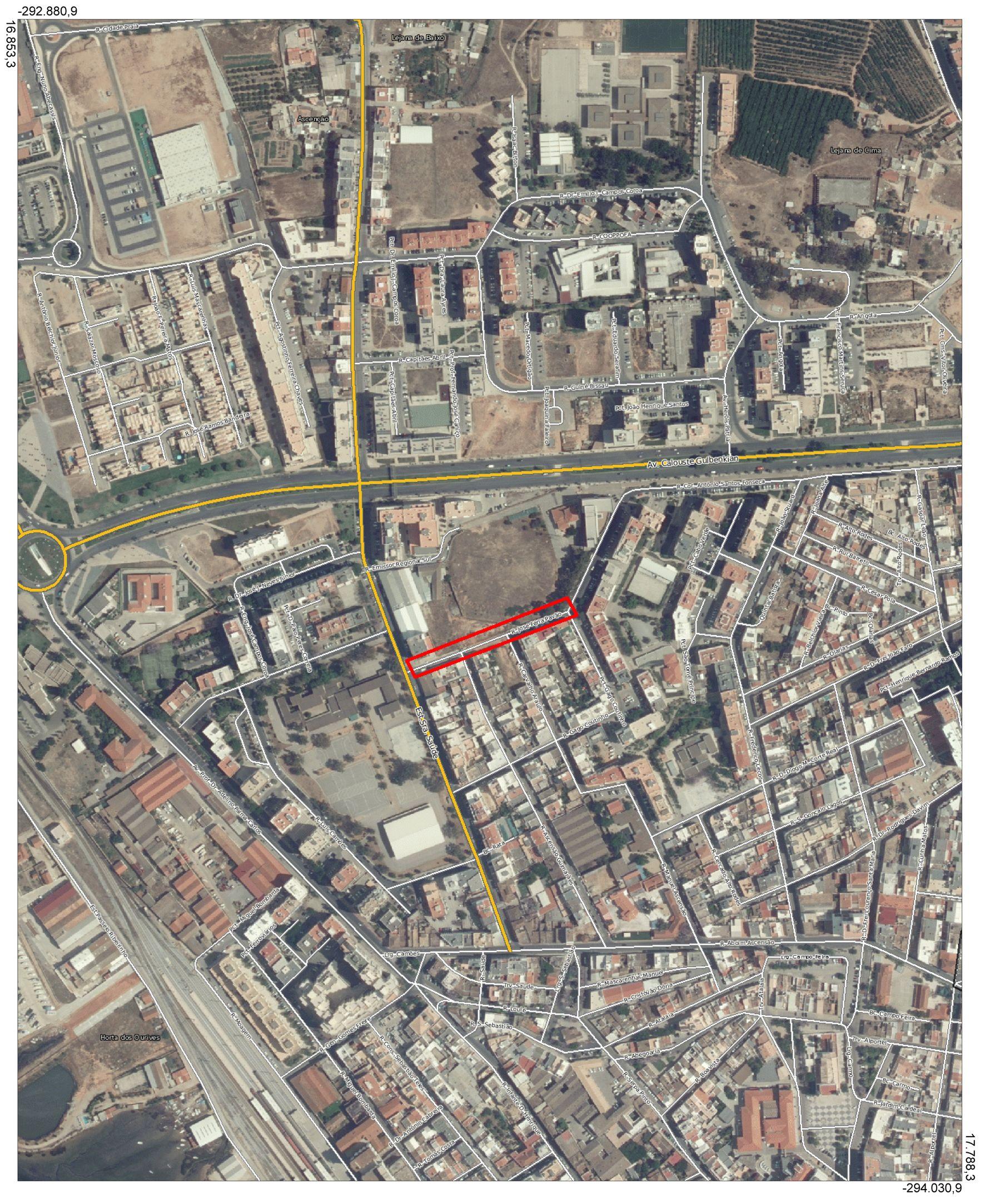 Planta-1