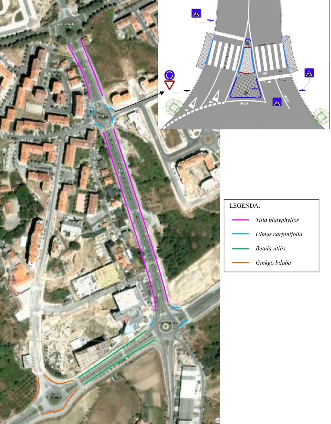 Requalificação do Parque Arbóreo