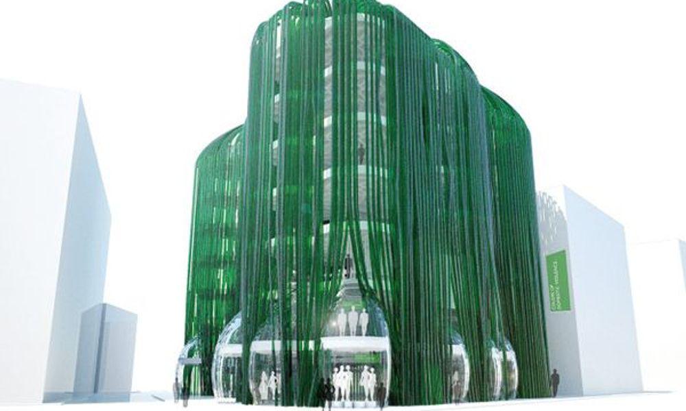 Algae-ecoLogocStudio-1
