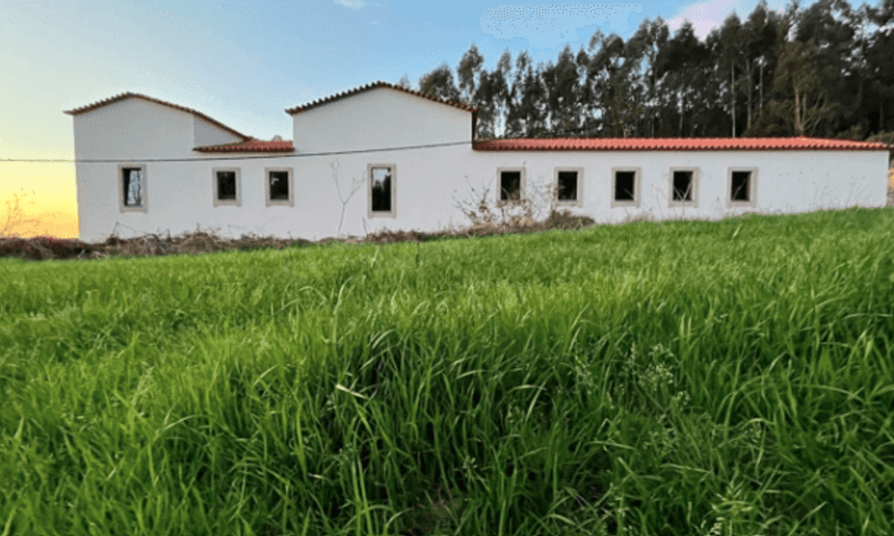 Captura de ecrã 2023-06-02 124145