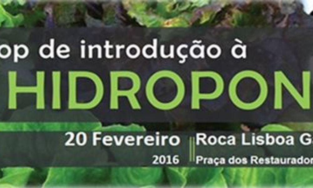 Hidroponia