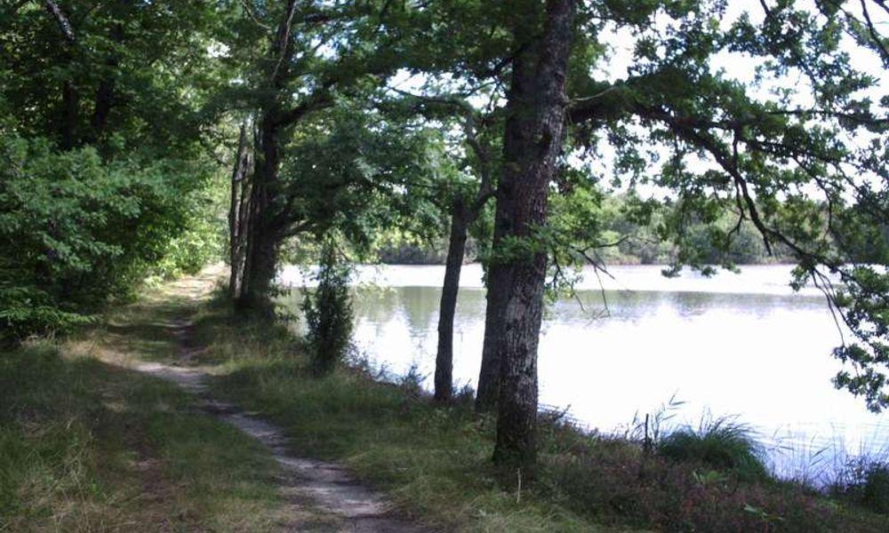 Le Grand Etang de La Jemaye05