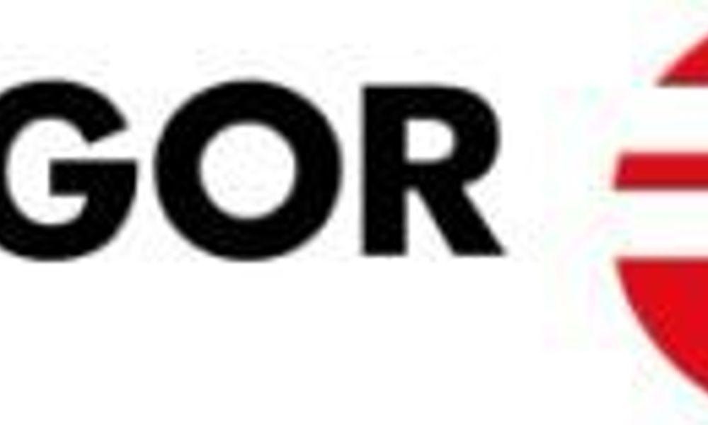 Logo Fagor1