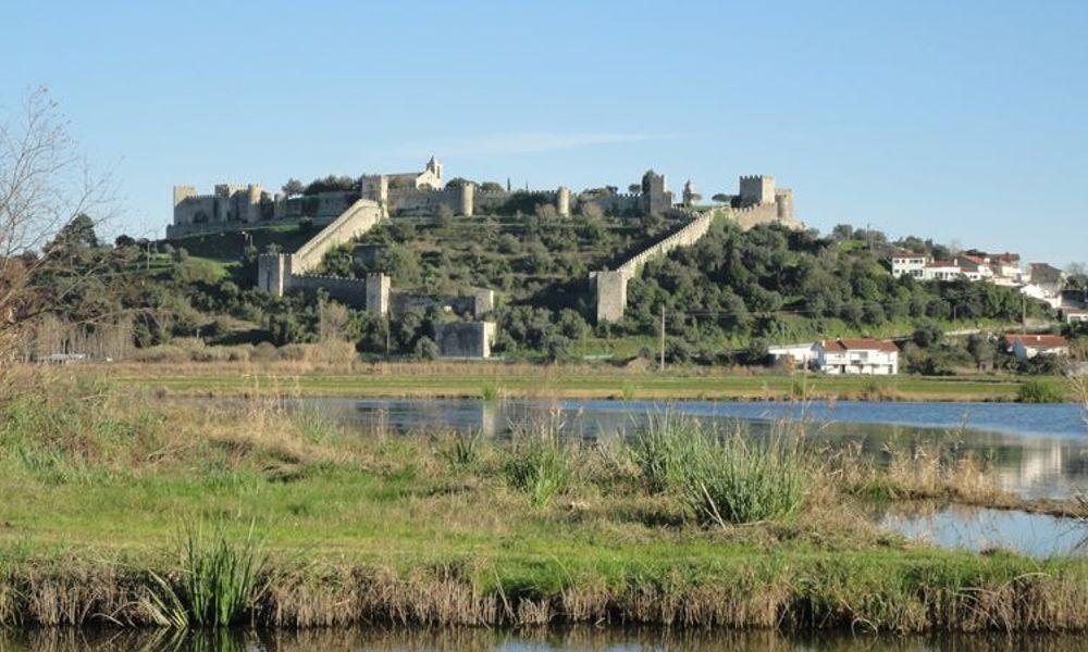 castelo montemor