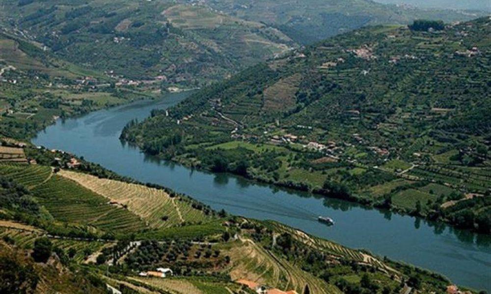 douro alliance