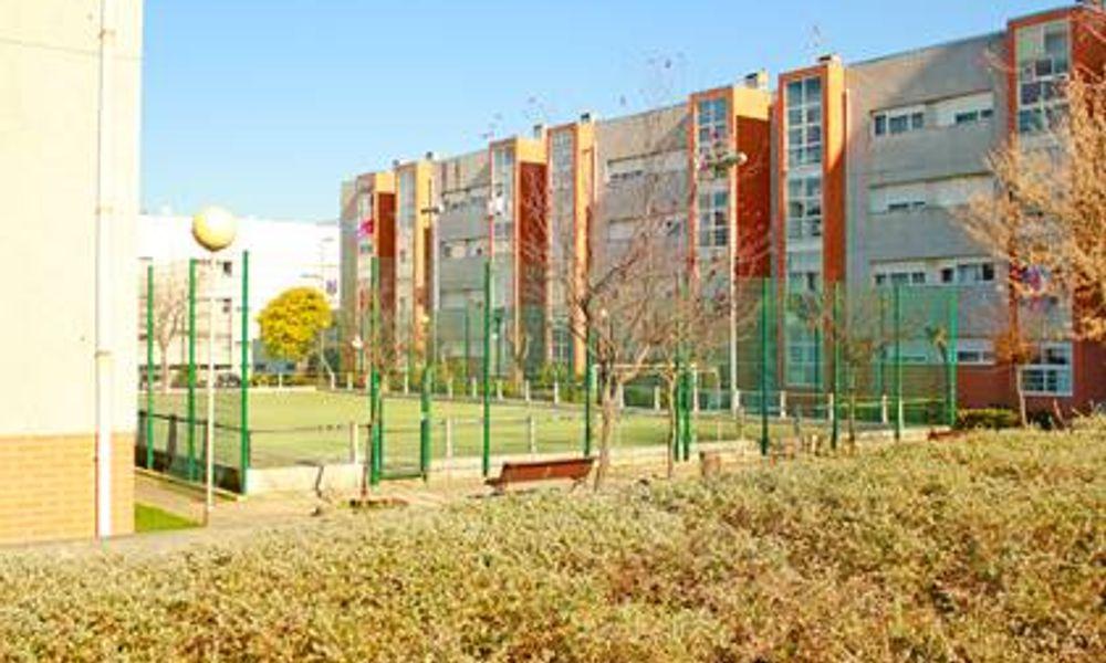 image003 (1)