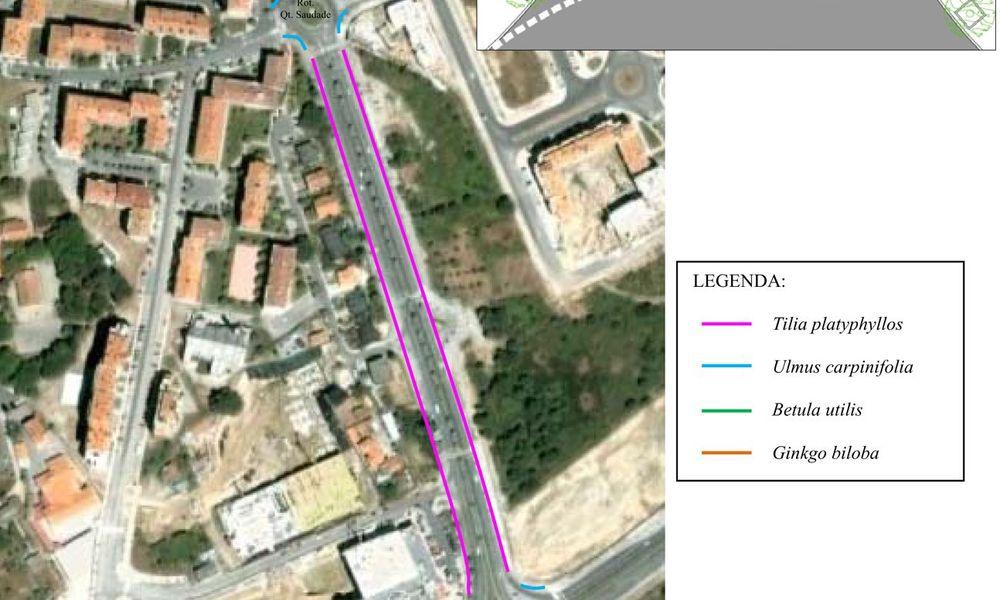 Requalificação do Parque Arbóreo