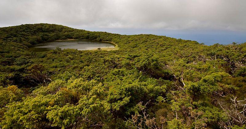 Ilha Terceira