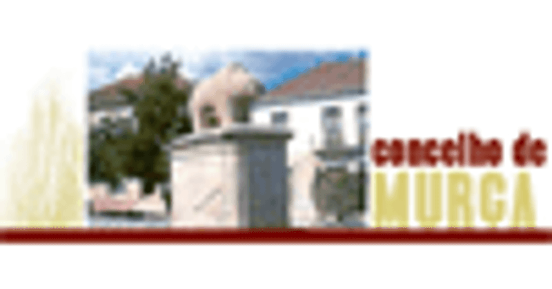 CÂMARA MUNICIPAL DE MURÇA - DIVISÃO DE OBRAS MUNICIPAIS