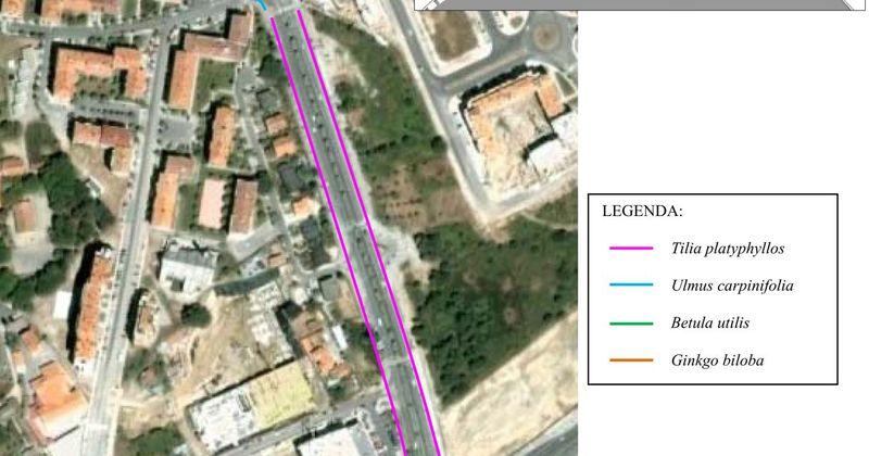 Requalificação do Parque Arbóreo