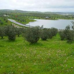 Amieira-Portel_436067064_1