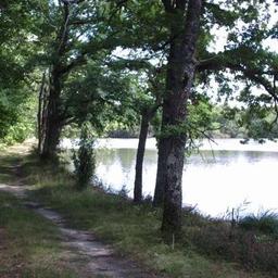 Le Grand Etang de La Jemaye05
