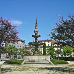 braga4024876985_b072d02855_b