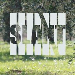 slant_2013